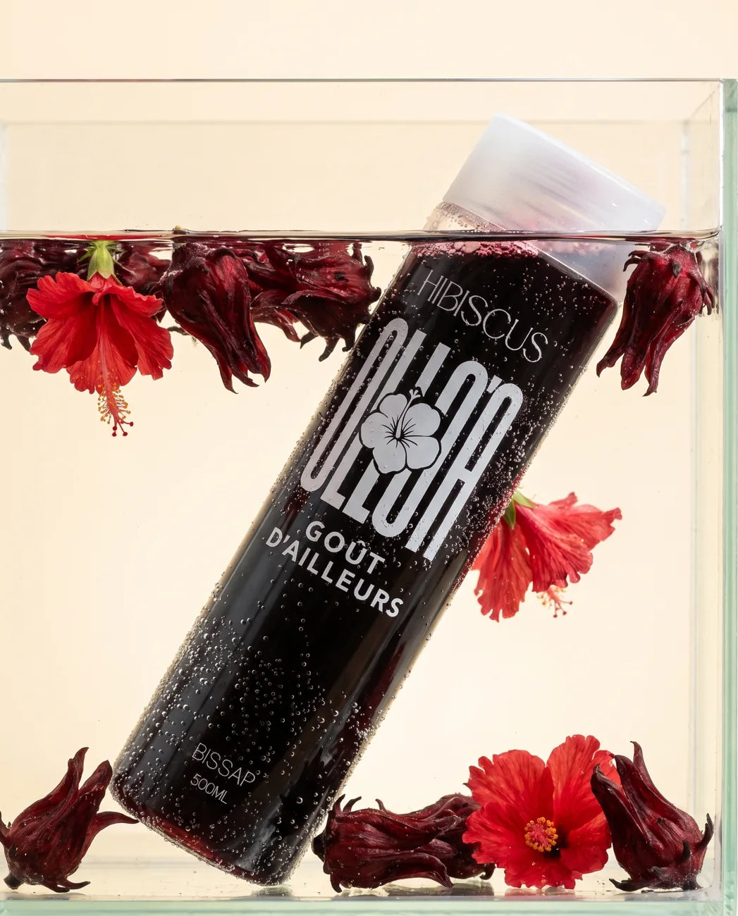 Bouteille Olloa plongée dans l'eau avec des fleurs d'hibiscus