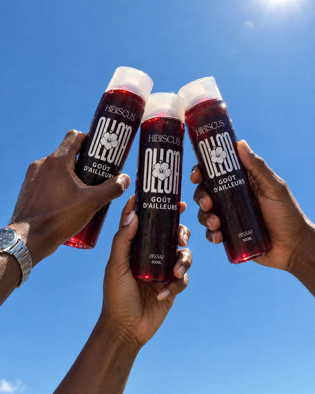 Amis qui trinquent avec des bouteilles de bissap Olloa sous le ciel bleu